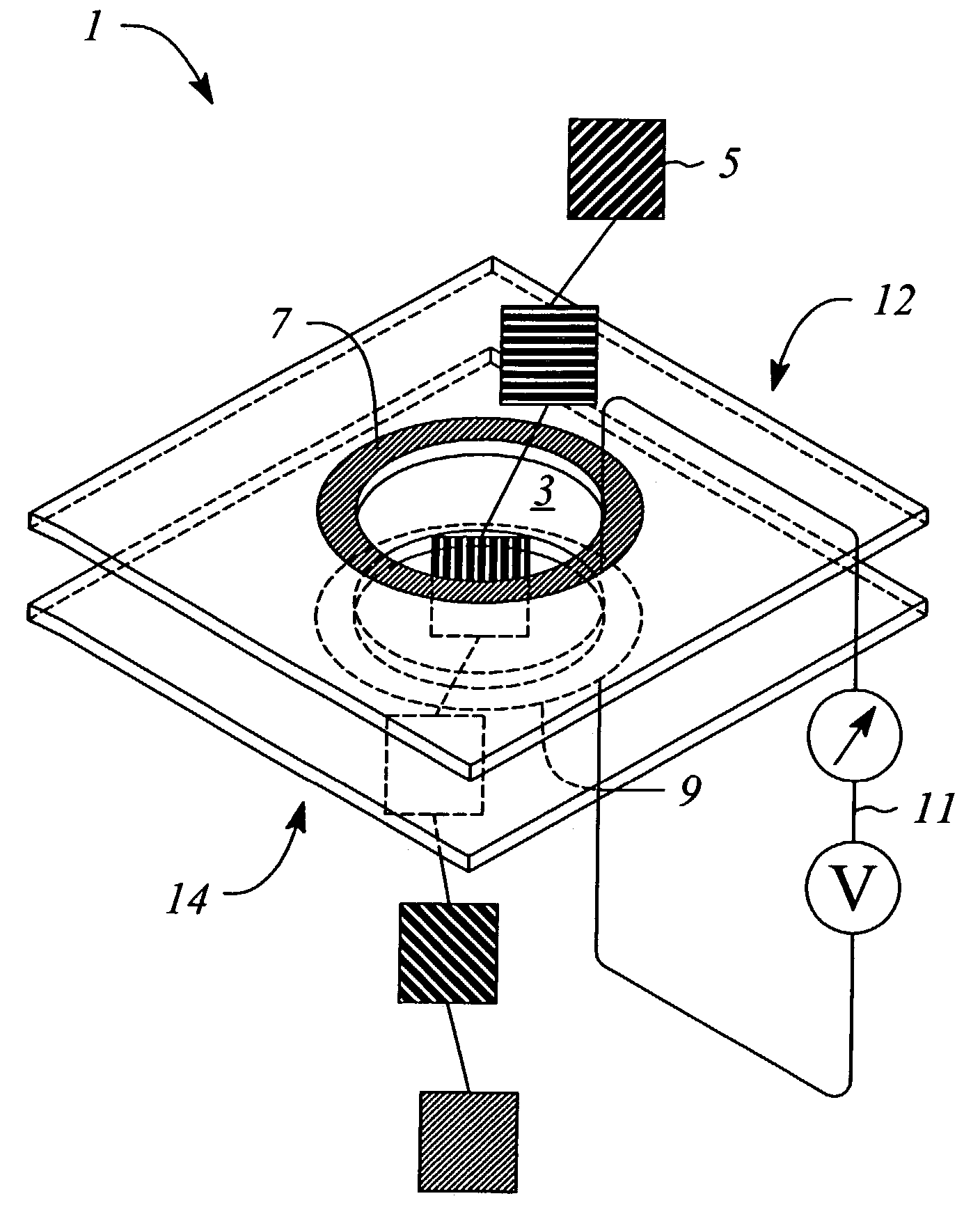 Apparatus and method for biopolymer identification during translocation through a nanopore