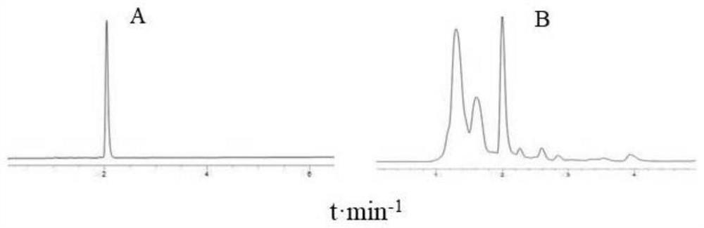 Method for extracting 10-DAB from taxus chinensis var mairei