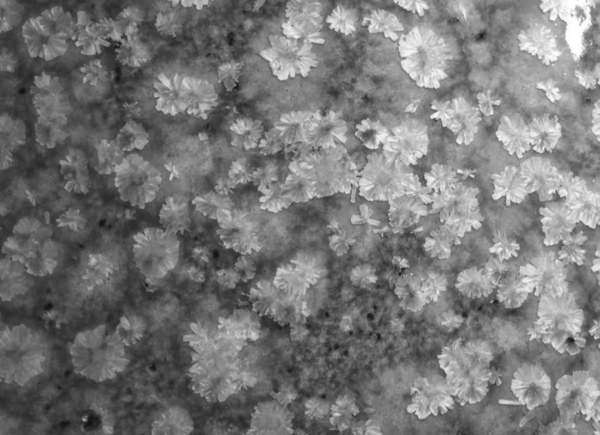 Macrocrystal particles capable of forming crystal flower, dry particle combination, particles for ceramic, ceramic and preparation method of ceramic