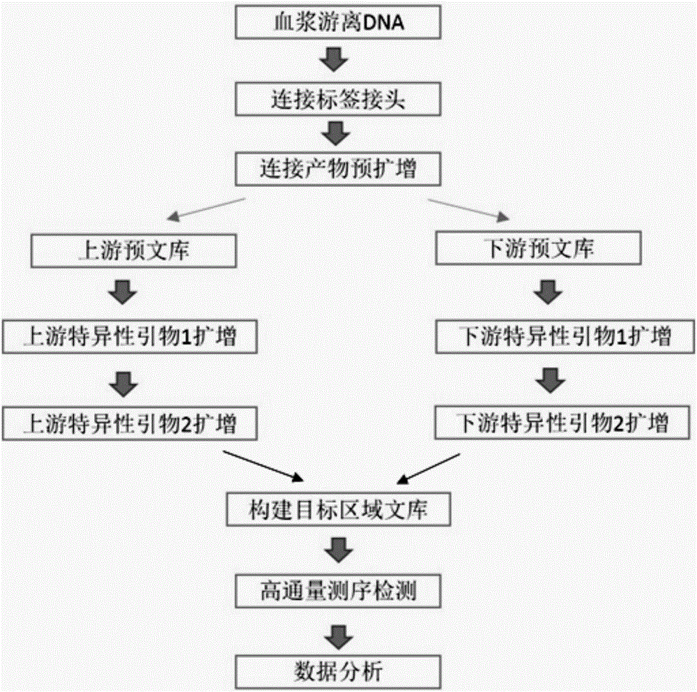 Noninvasive antepartum fetal beta-thalassemia gene mutation detection library building method, detection method and kit