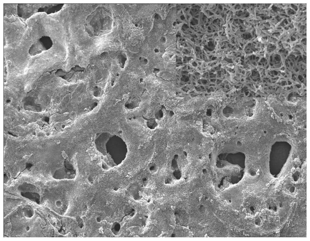 Preparation and application of polyaniline nanowire/three-dimensional porous graphene electrode material