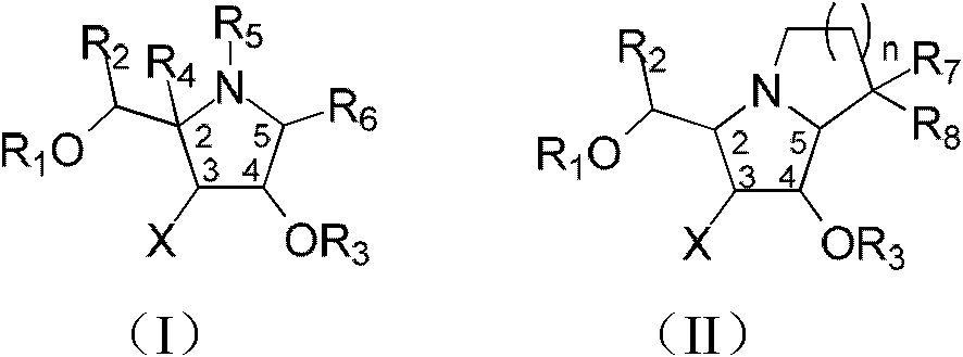 Fluoro polyhydroxy pyrrole pyrrolizidine, and preparation method and application thereof