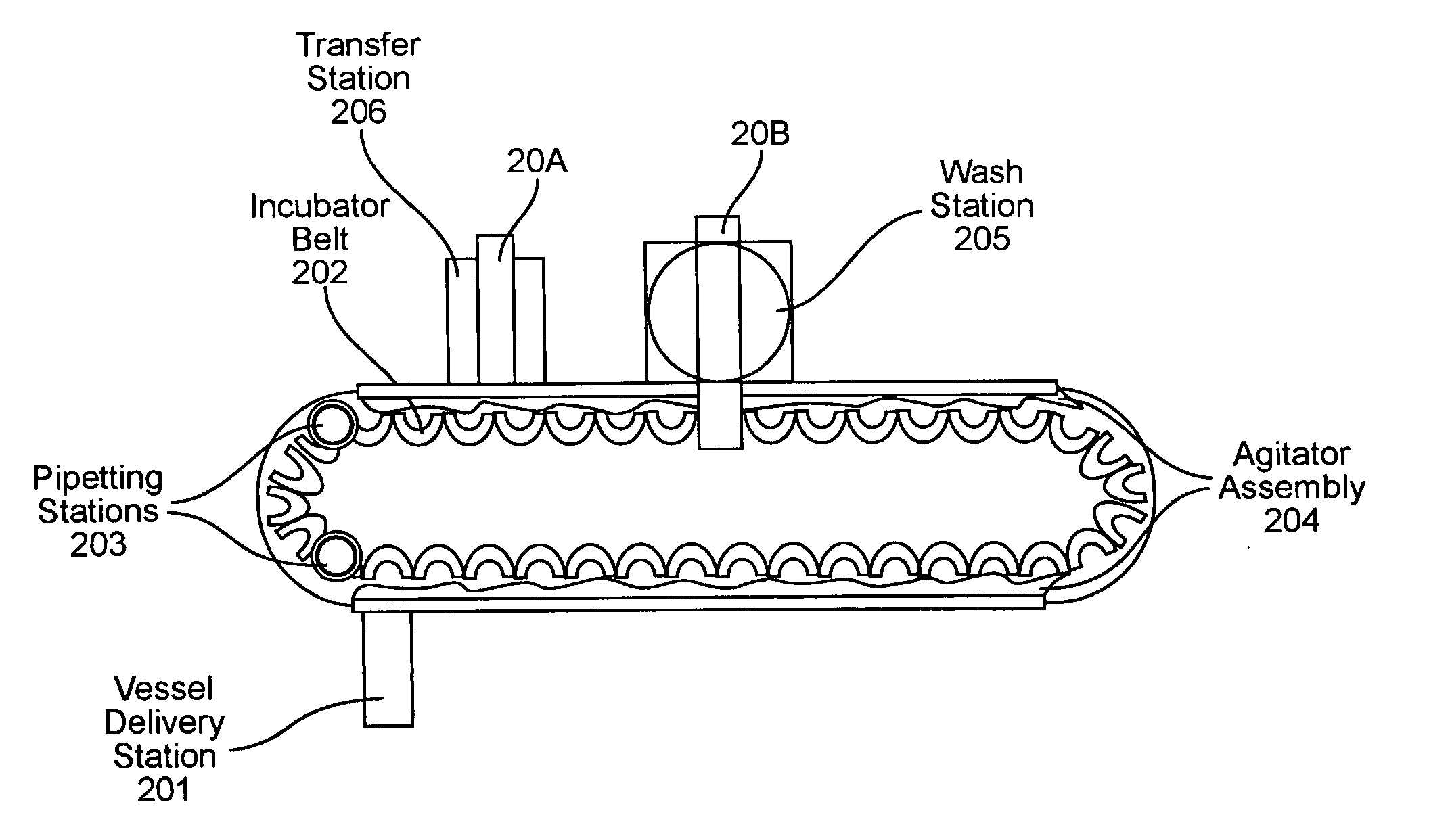 Multipath access system for use in an automated immunoassay analyzer