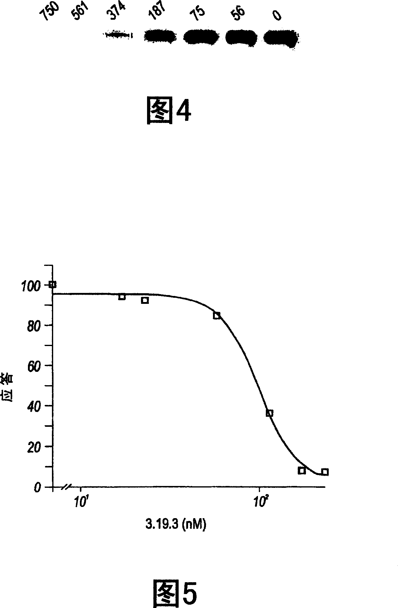 Antibodies directed to angiopoietin-2 and uses thereof