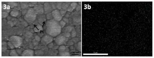 pt modified fe2o3 wrapped cufeo2 photocathode and its preparation method
