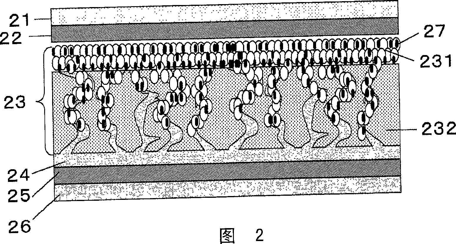 Porous electrode, and apparatus containing the same and manufacturing method of the electrode