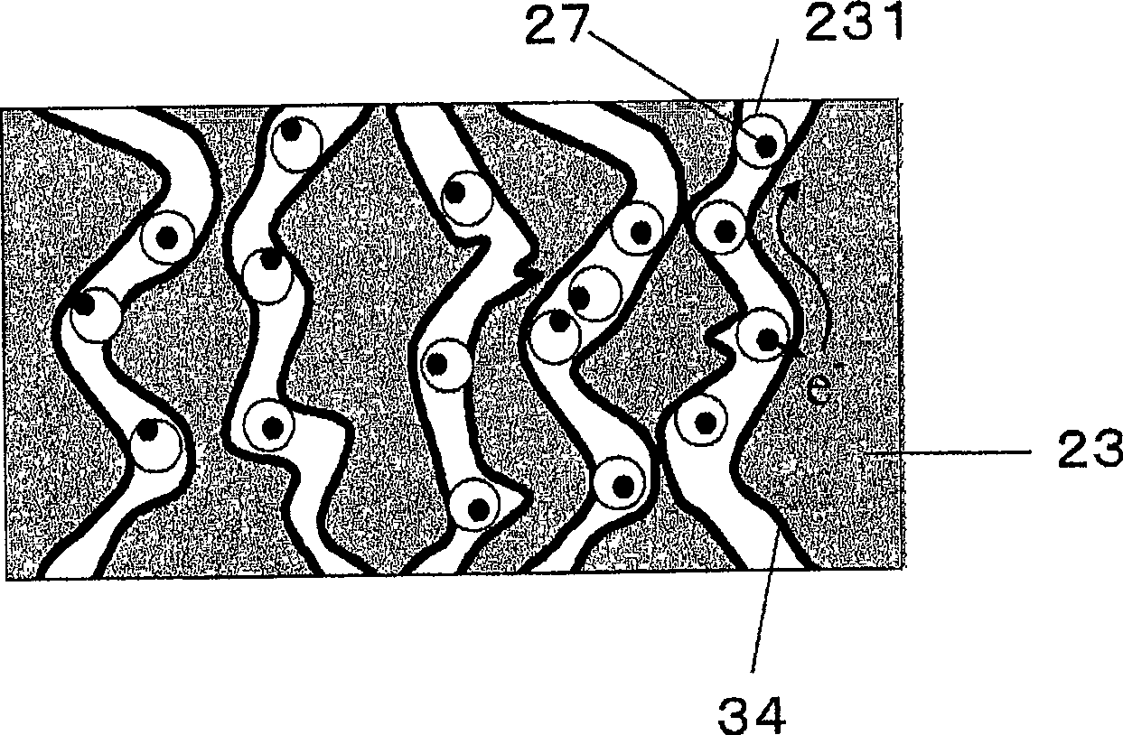 Porous electrode, and apparatus containing the same and manufacturing method of the electrode