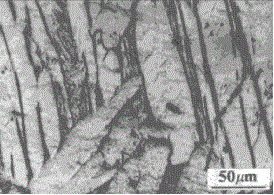 Machining method capable of controlling commercial pure titanium plate cold rolling texture