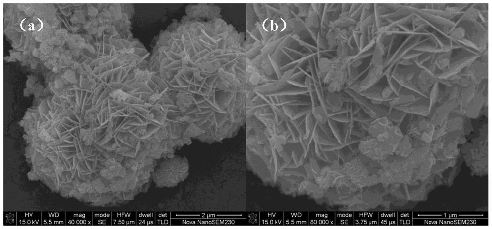 A composite photocatalyst for efficiently degrading ciprofloxacin and its preparation method and application