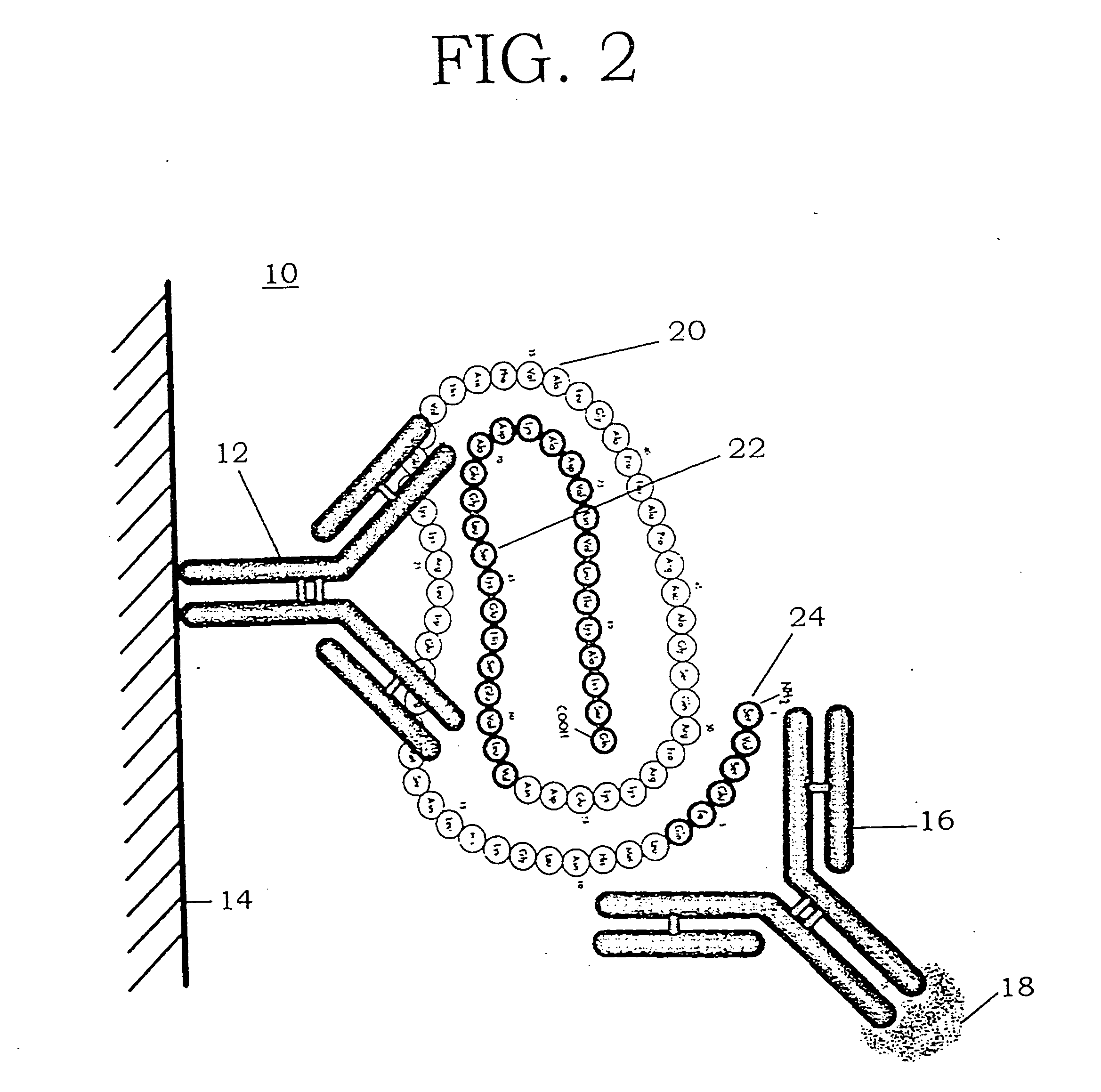 Methods, kits, and antibodies for detecting parathyroid hormone