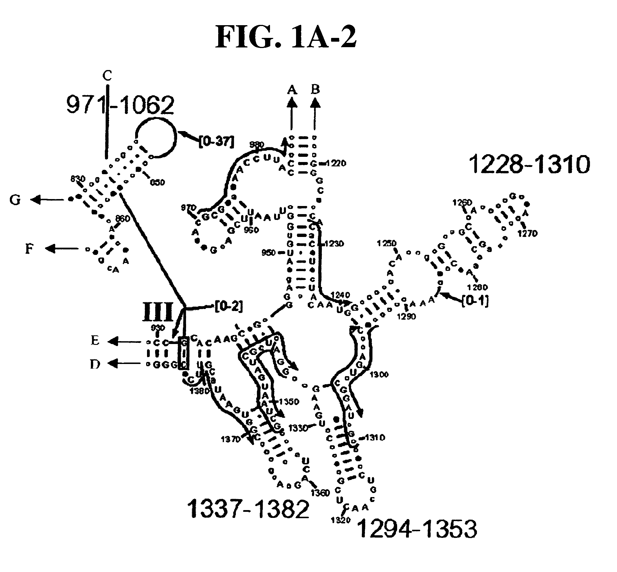 Method for rapid detection and identification of bioagents