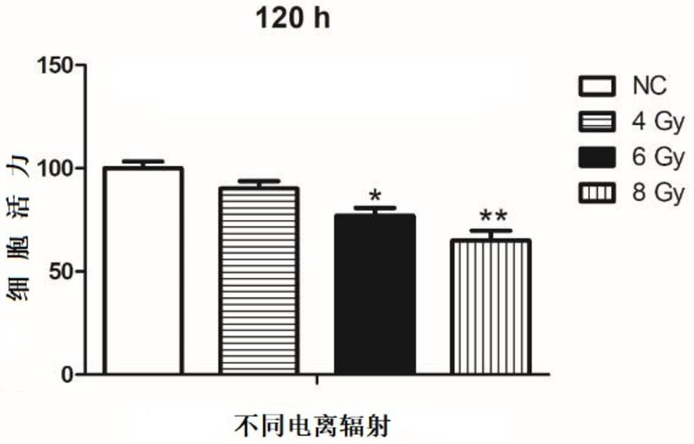 Application of 3, 4, 5-O-tricaffeoylquinic acid as cell protective agent in radiotherapy