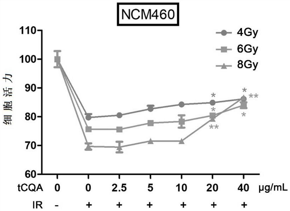 Application of 3, 4, 5-O-tricaffeoylquinic acid as cell protective agent in radiotherapy