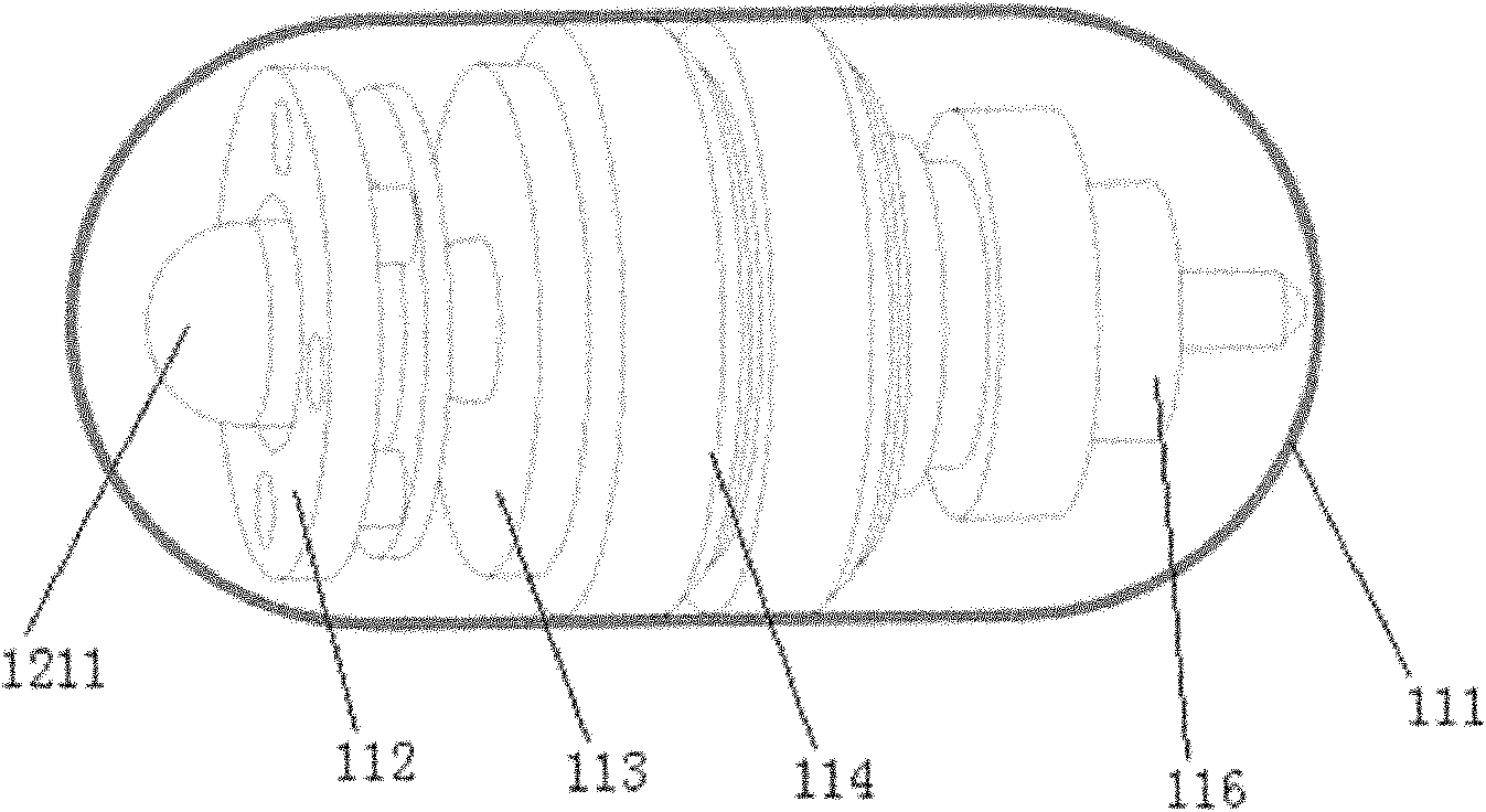 Capsule enteroscopy system with thermal-infrared scanning function