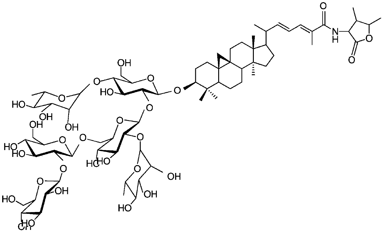 Preparation method for mussaendoside U