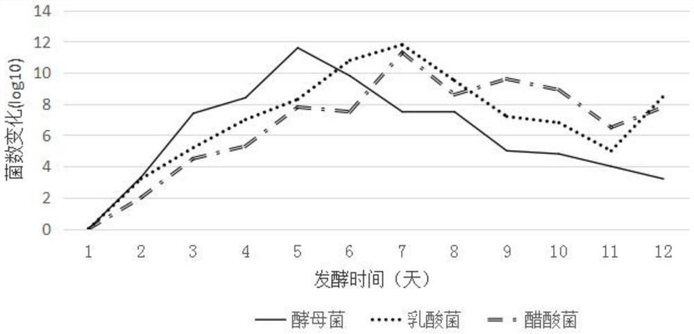 Method for improving efficacy of animal and plant raw material traditional Chinese medicine enzymes by using fermentation technology.