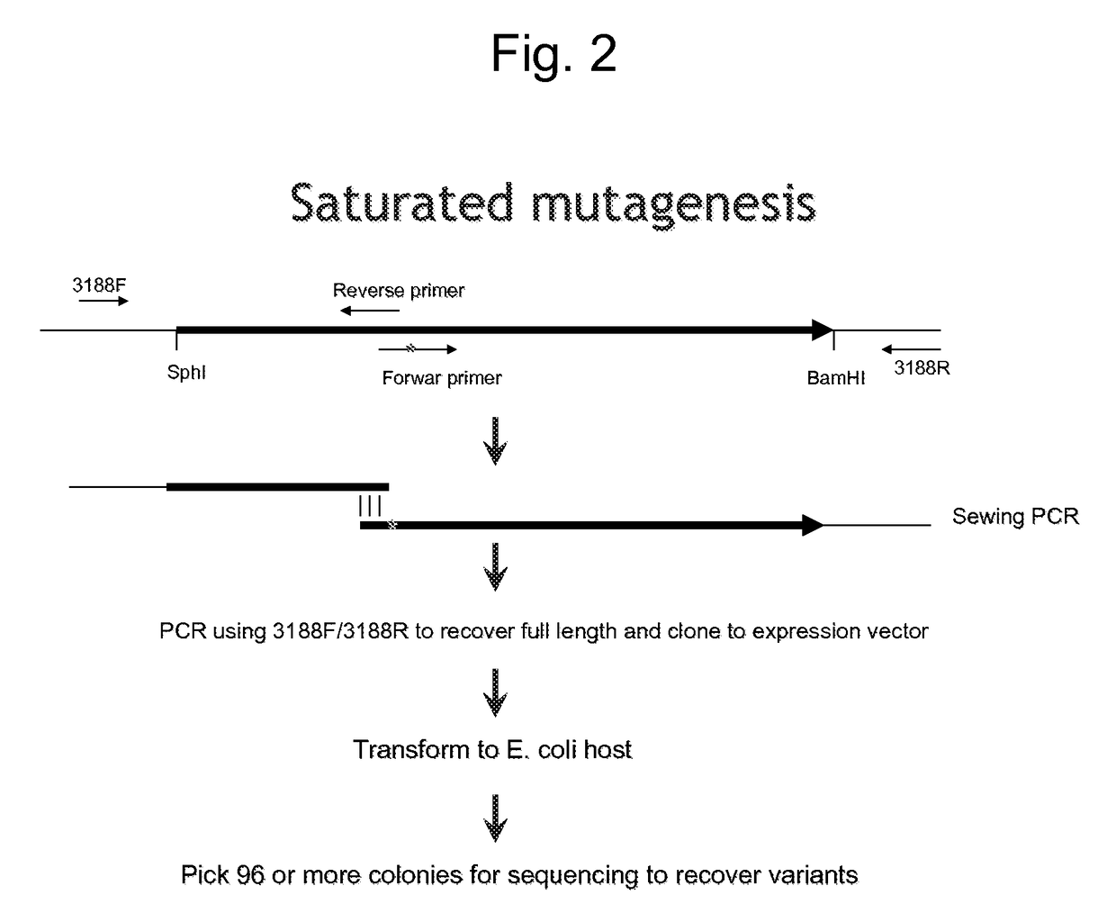 Insecticidal proteins and methods for their use