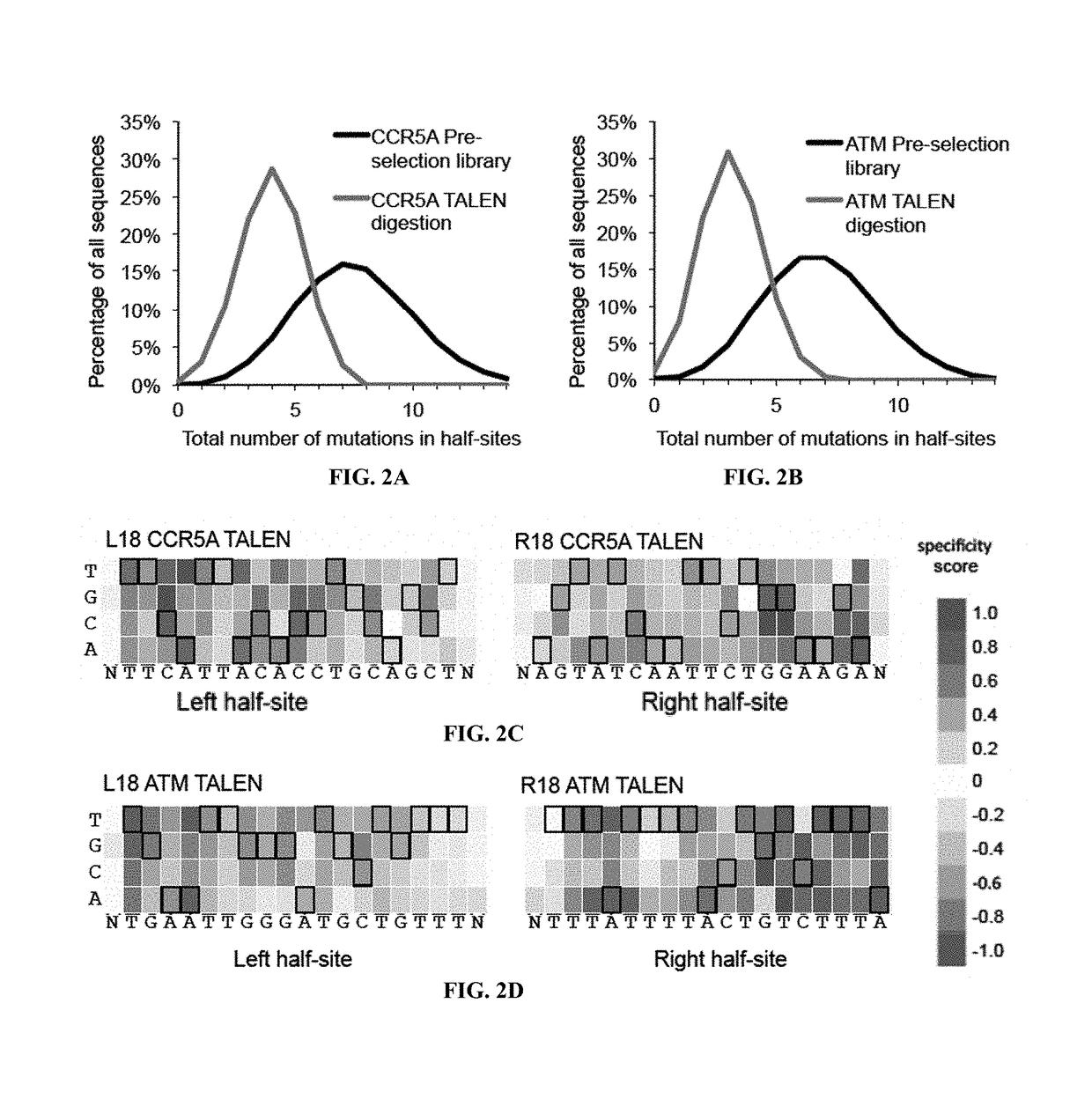 Engineered transcription activator-like effector (TALE) domains and uses thereof