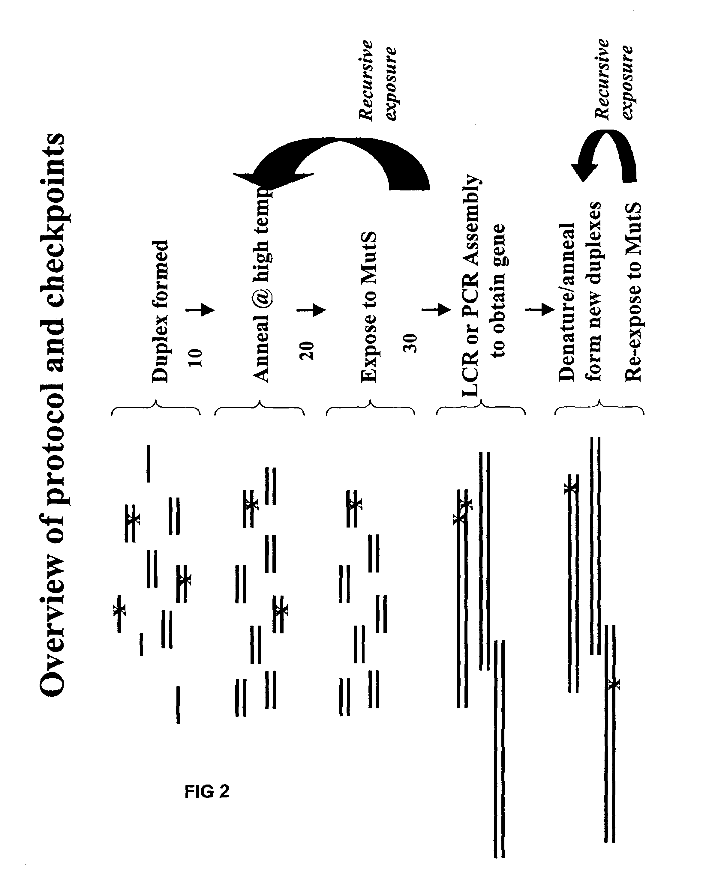 Method of error reduction in nucleic acid populations