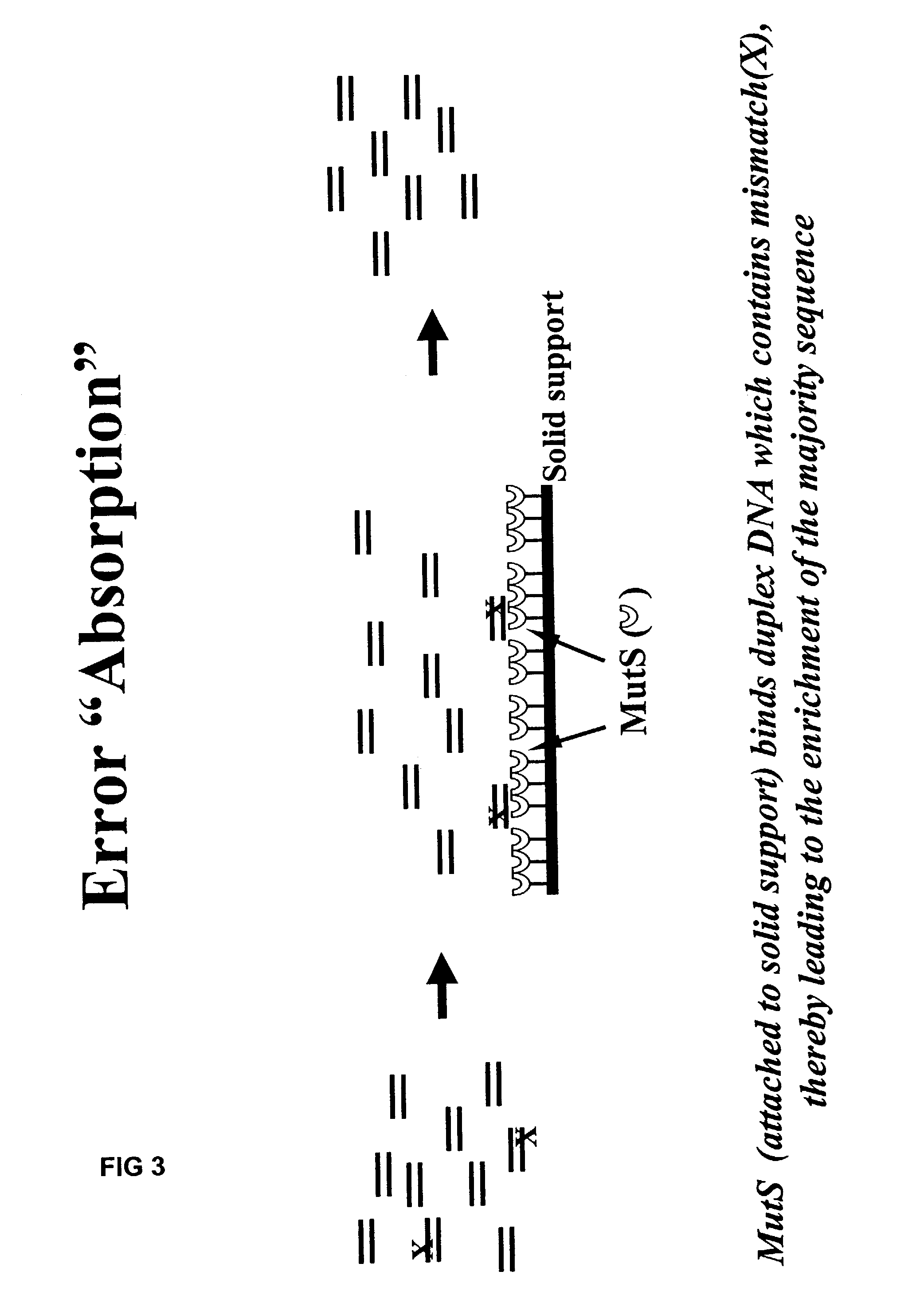 Method of error reduction in nucleic acid populations