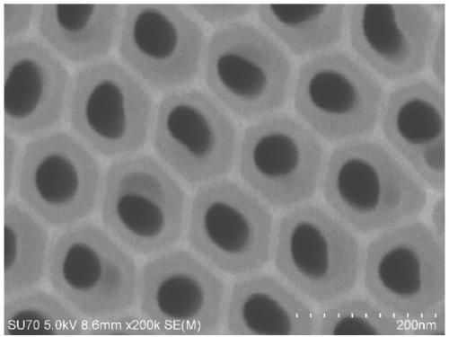 A method for preparing self-assembled bayberry-like gold SERS substrate assisted by iron nano-lattice