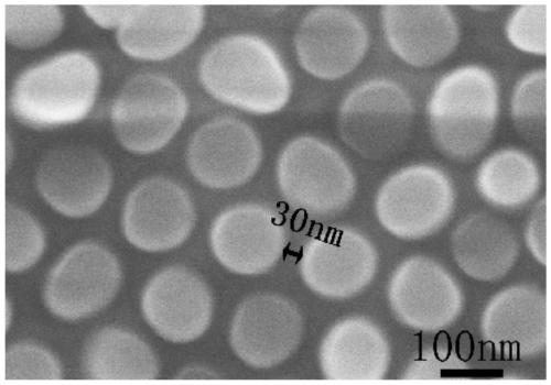 A method for preparing self-assembled bayberry-like gold SERS substrate assisted by iron nano-lattice