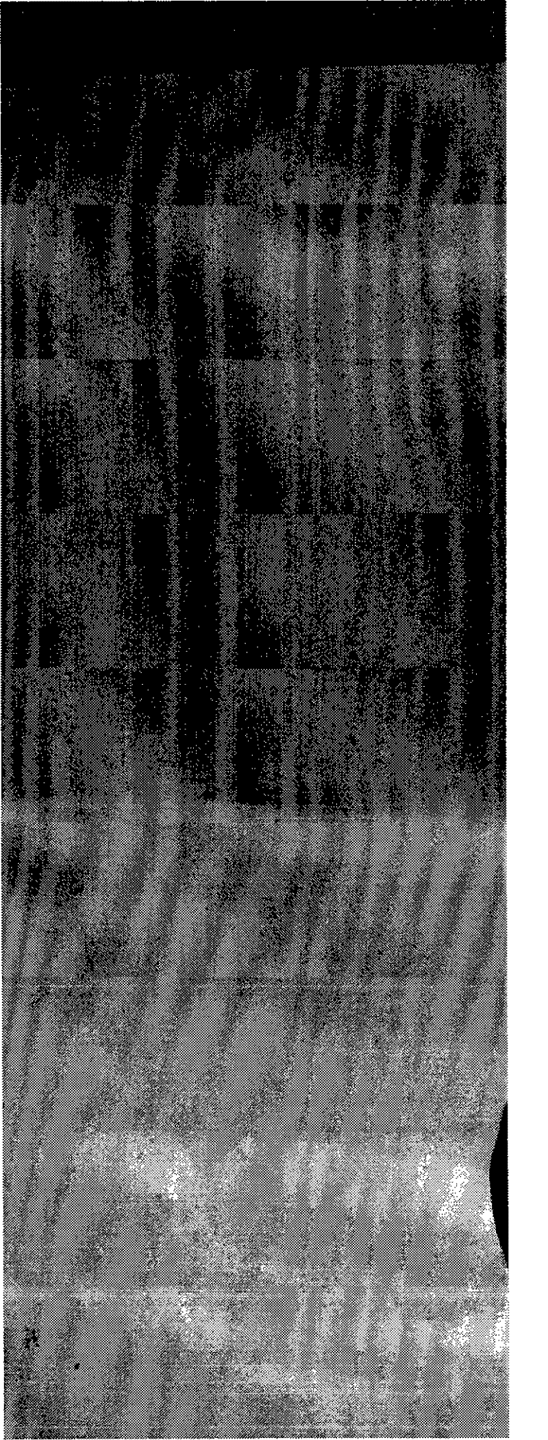 An anatomical inspection method for quality, structure and performance of 70t to 600t steel ingots