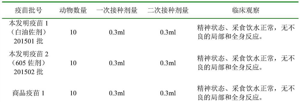 An Isolate Strain of Infectious Bronchitis Virus and Its Application in Vaccine Preparation