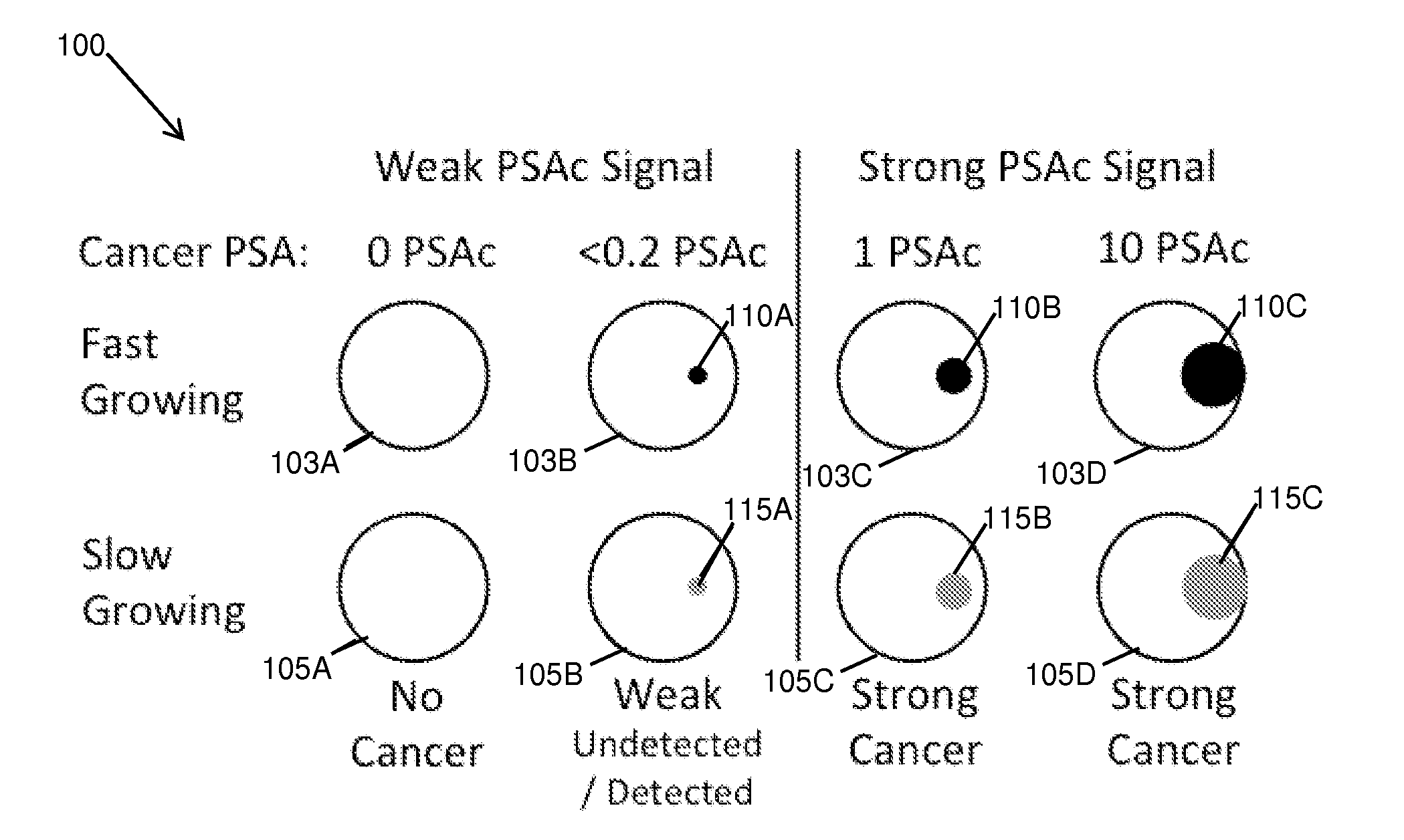 Dynamic analysis and dynamic screening