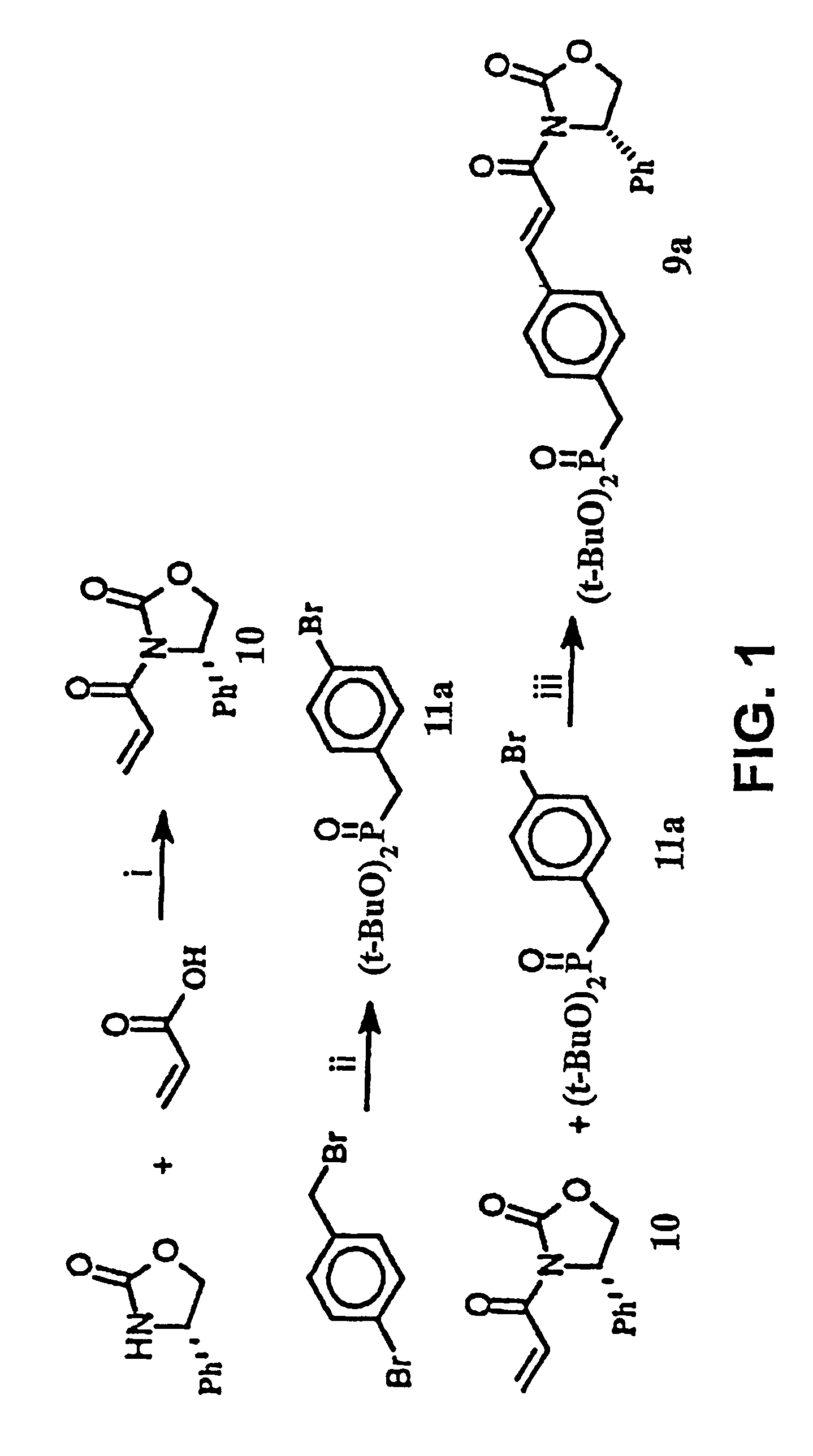 SH2 domain binding inhibitors