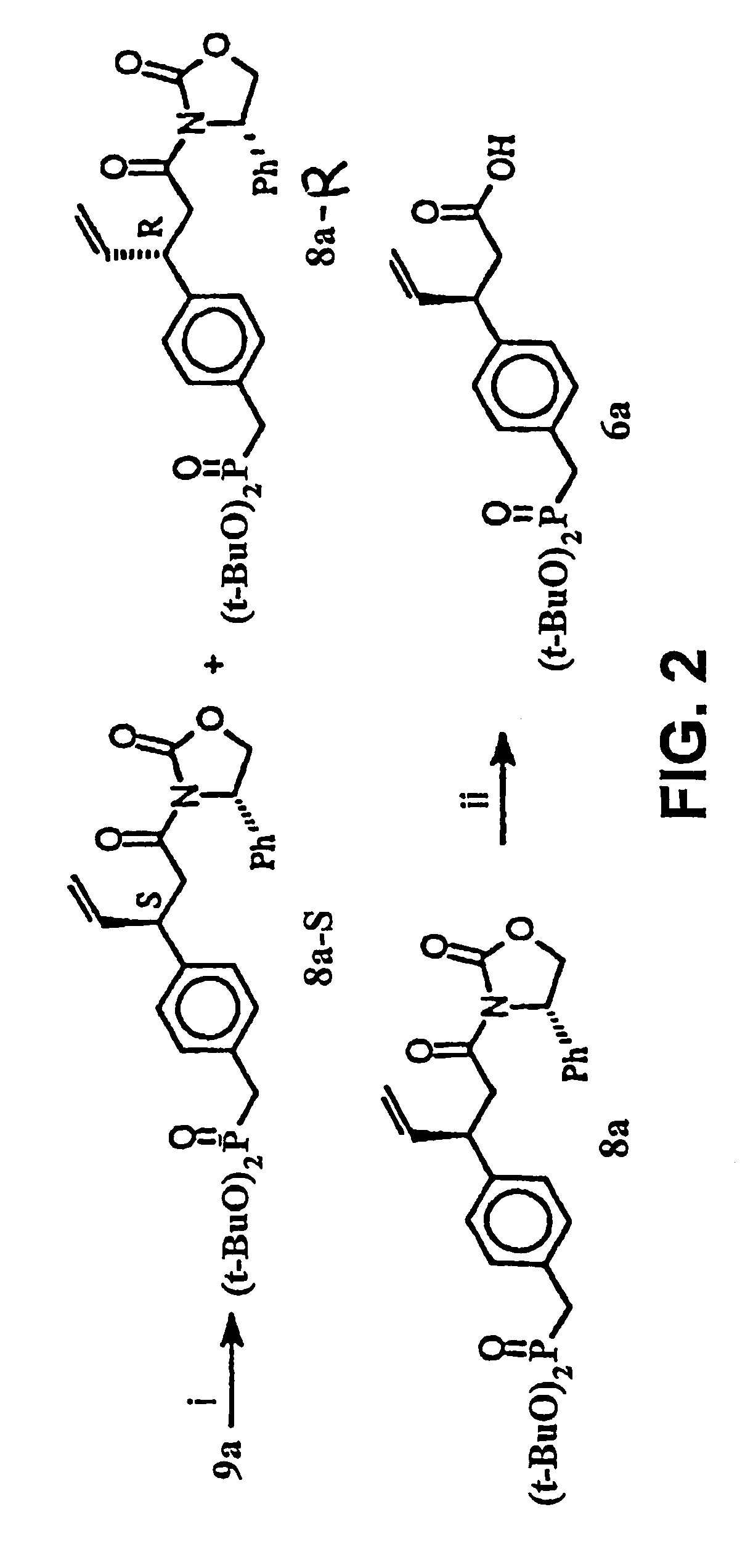 SH2 domain binding inhibitors