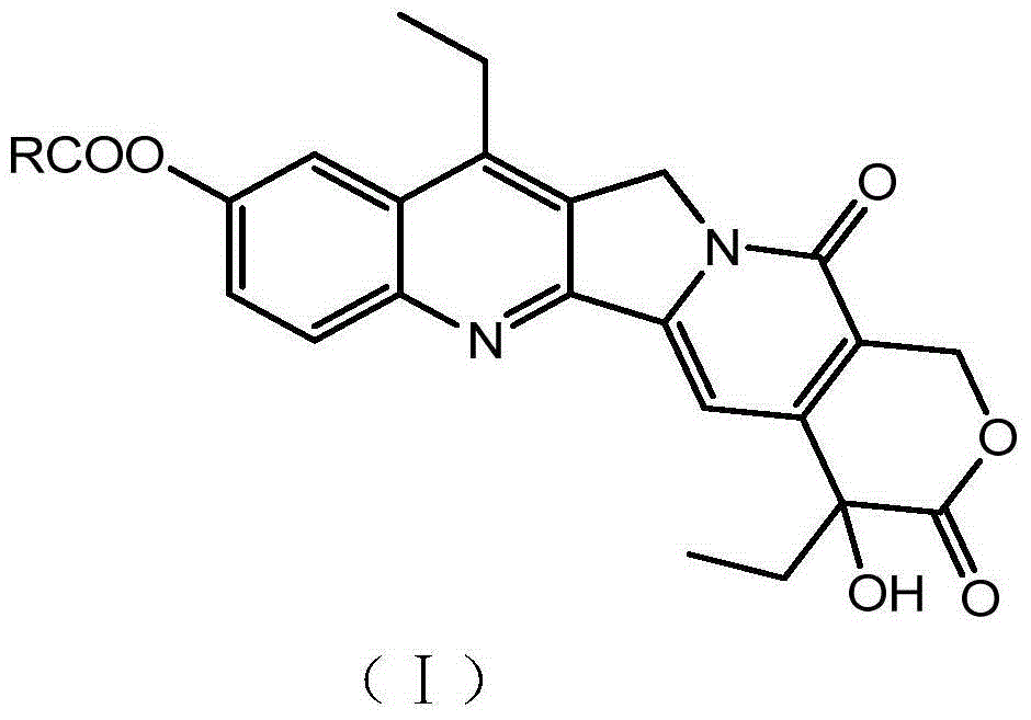 Saturated long-chain fatty acid-modified 7-ethyl-10-hydroxycamptothecin compound and long-circulating liposome thereof