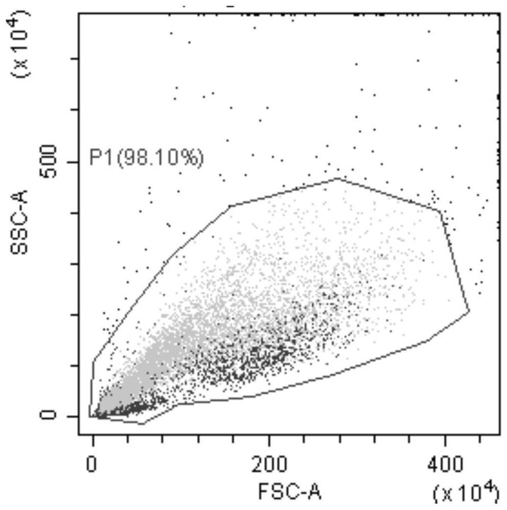 A kind of mixed stem cell injection containing three kinds of angiogenesis properties and its preparation method