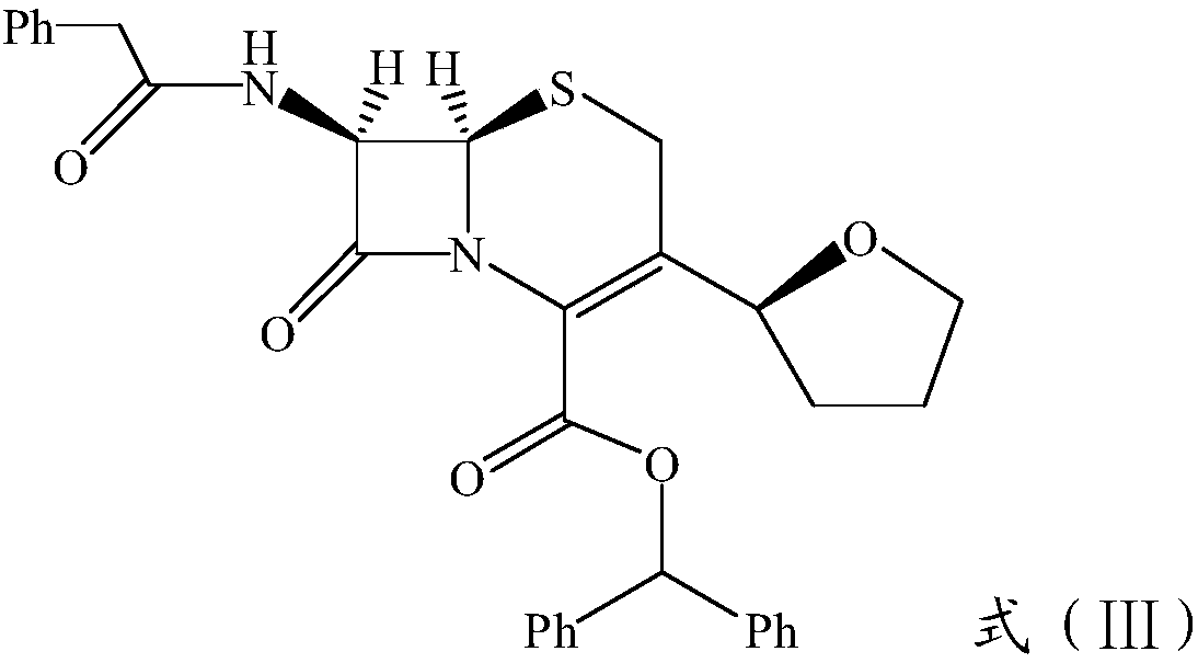 A kind of synthetic method of cefotaxin and sodium salt thereof