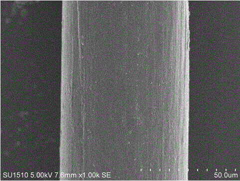 Preparation method for high-strength wheat protein fiber