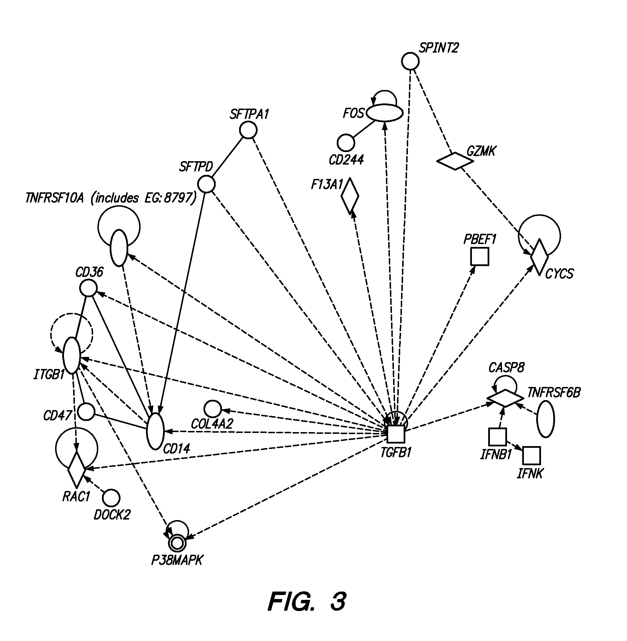 Methods and Compositions for Determining a Graft Tolerant Phenotype in a Subject