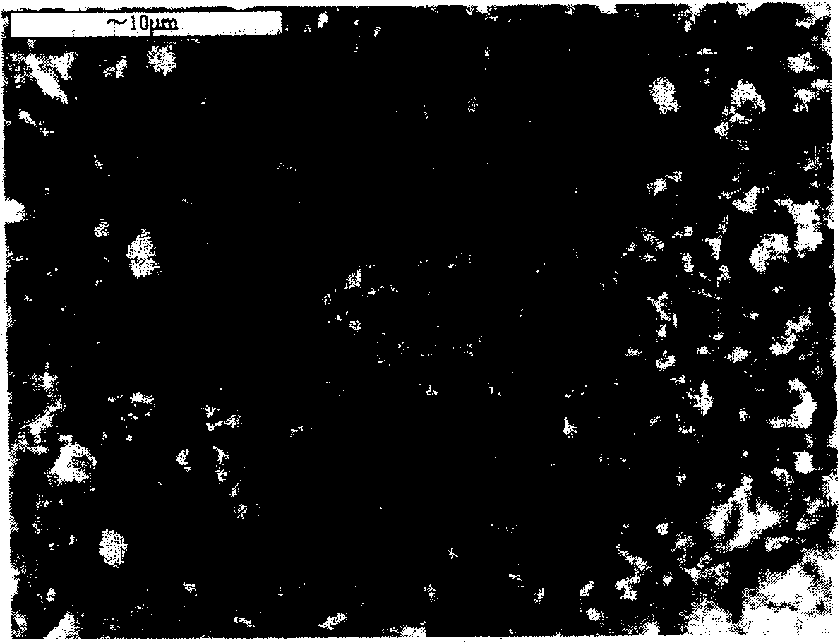 Netted Cu antimicrobial filtering metallic material preparation method