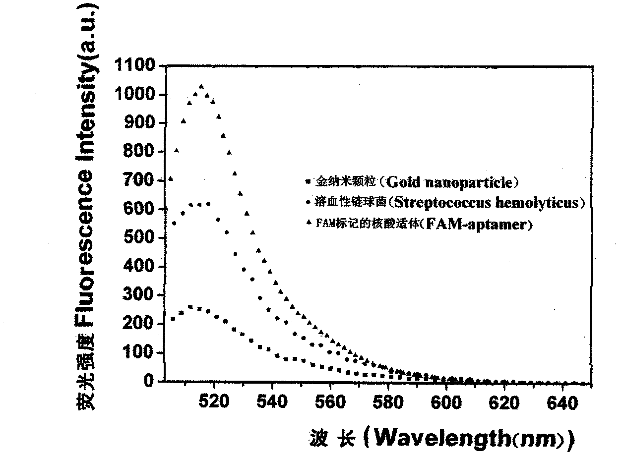 Nucleic acid aptamer, complementary sequence and detection method for detecting hemolytic streptococcus