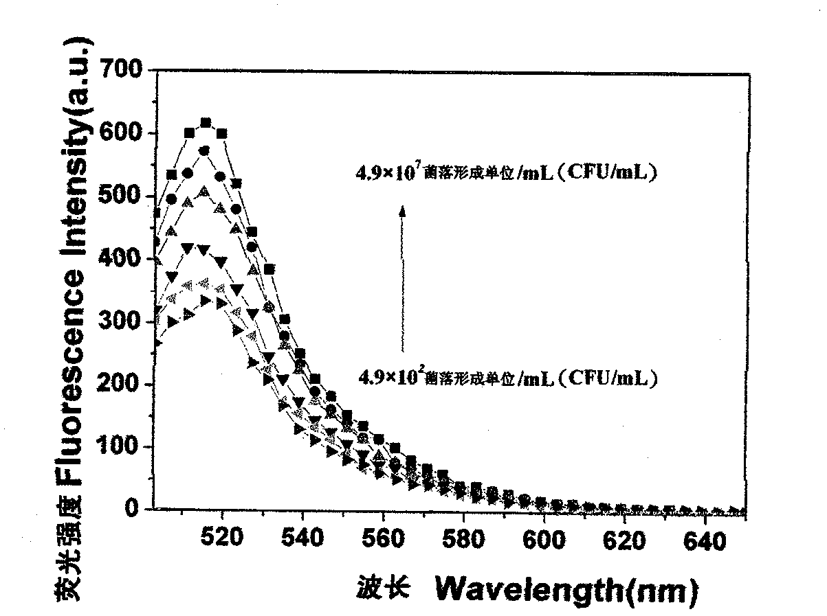 Nucleic acid aptamer, complementary sequence and detection method for detecting hemolytic streptococcus