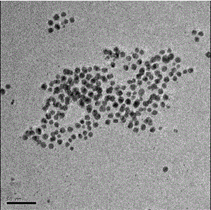 Self-assembly material based on silver nanoparticles and preparation method thereof