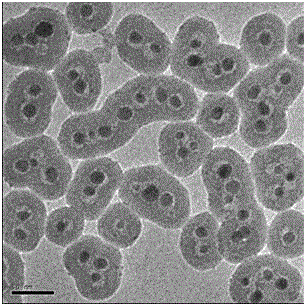 Self-assembly material based on silver nanoparticles and preparation method thereof