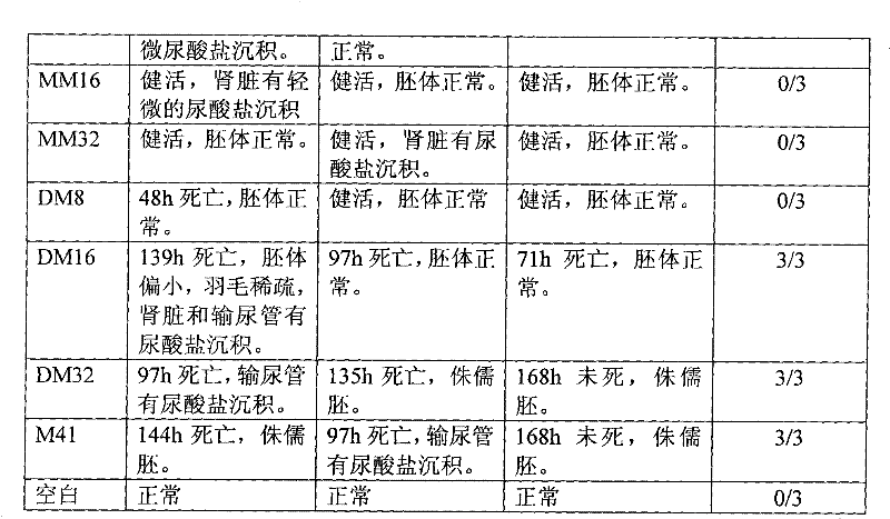 Eosinophilic kidney type avian infectious bronchitis virus (IBV) virulent vaccine strain and application thereof