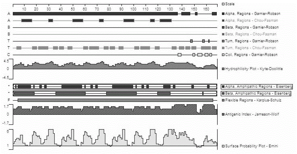 Mycoplasma bovis diagnosis reagent and its application