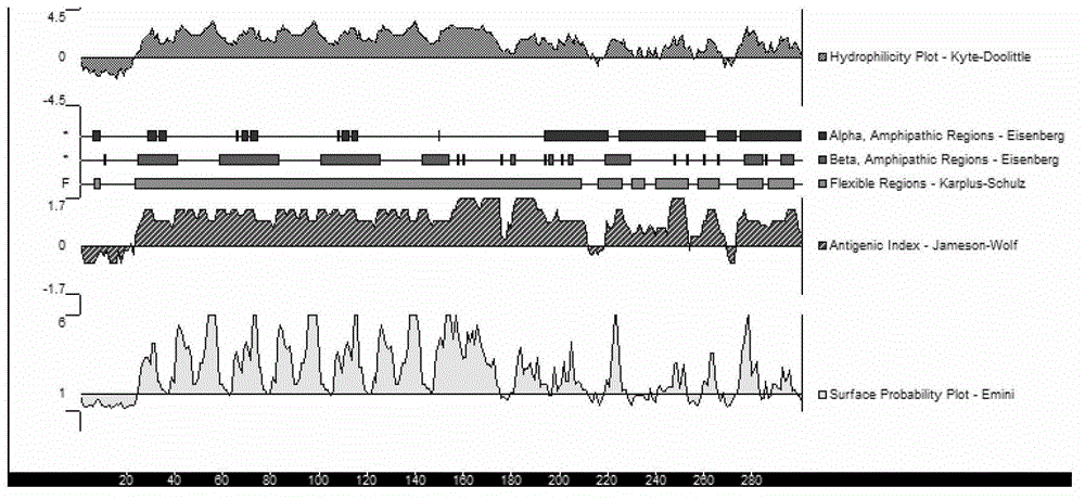 Mycoplasma bovis diagnosis reagent and its application