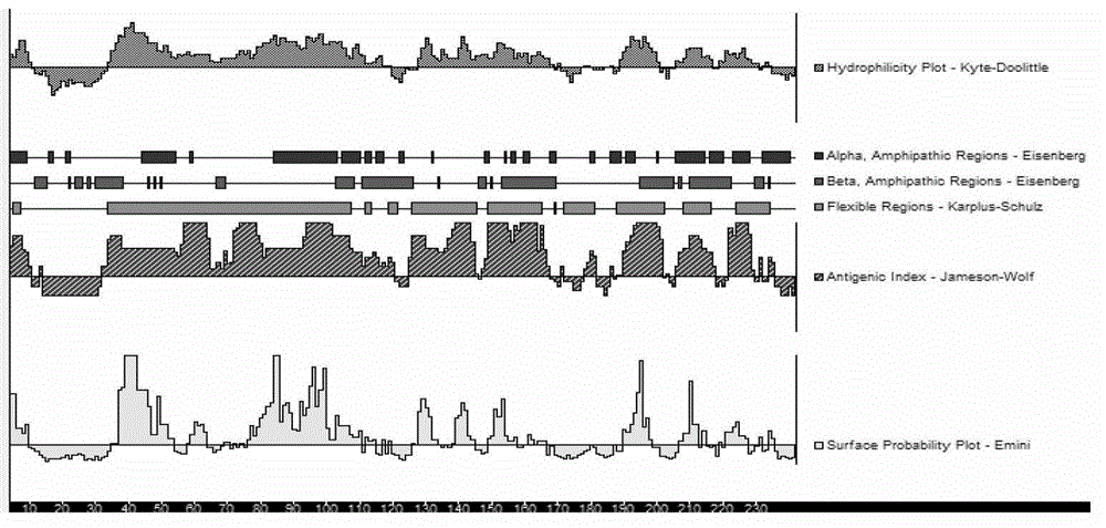 Mycoplasma bovis diagnosis reagent and its application