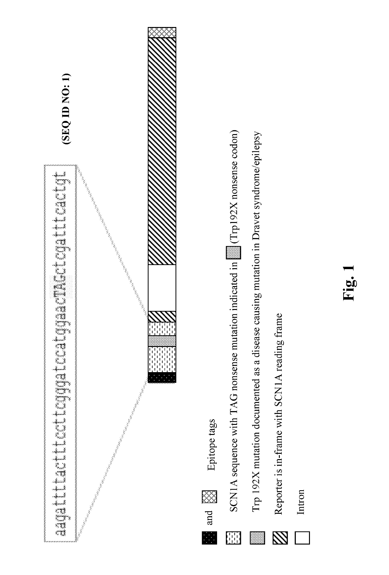 Methods for treating epilepsy