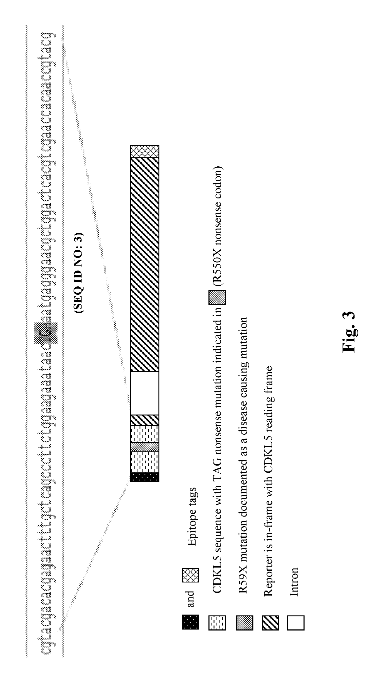 Methods for treating epilepsy