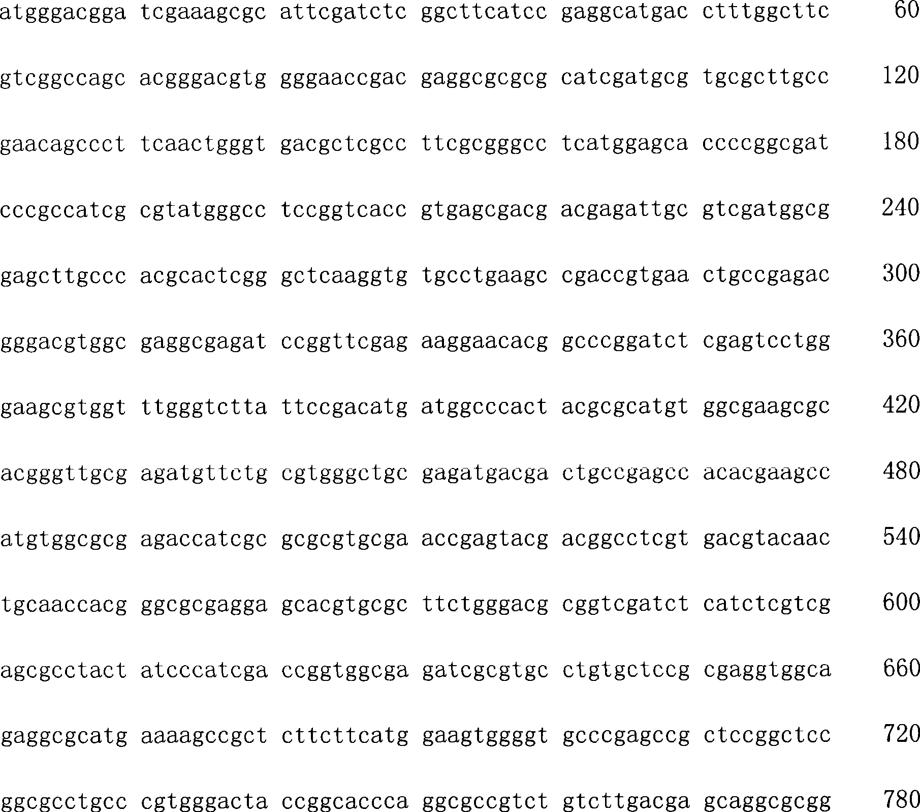 Beta-mannanase, gene, preparation method, vector and host cell