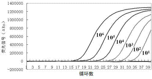 Composition, kit and method for detecting rotavirus group A