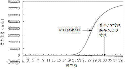 Composition, kit and method for detecting rotavirus group A